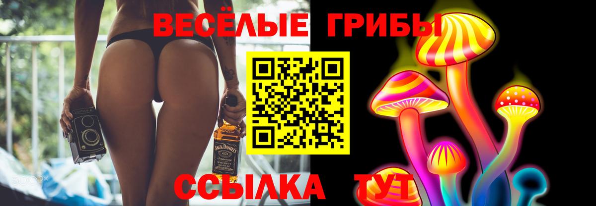 Псилоцибиновые грибы GOLDEN TEACHER  Вход с VPN  Скопин 